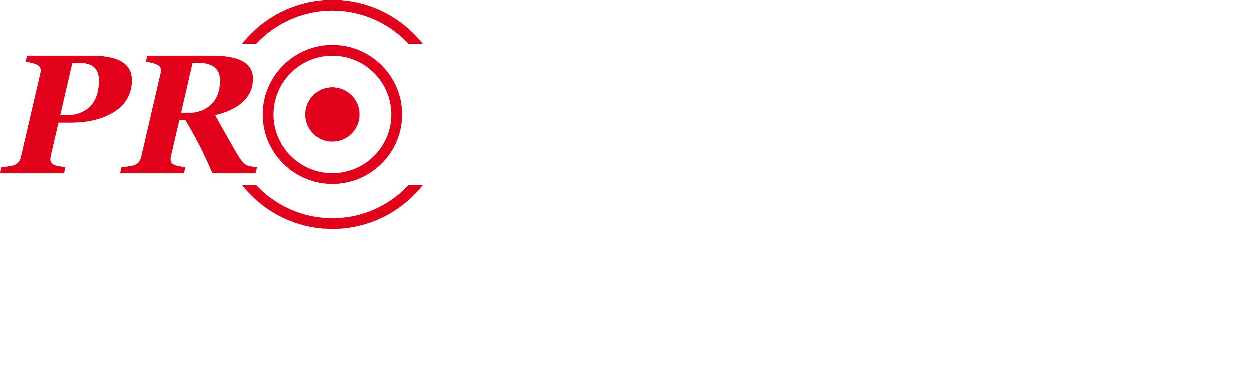 ProInsight 远景视点